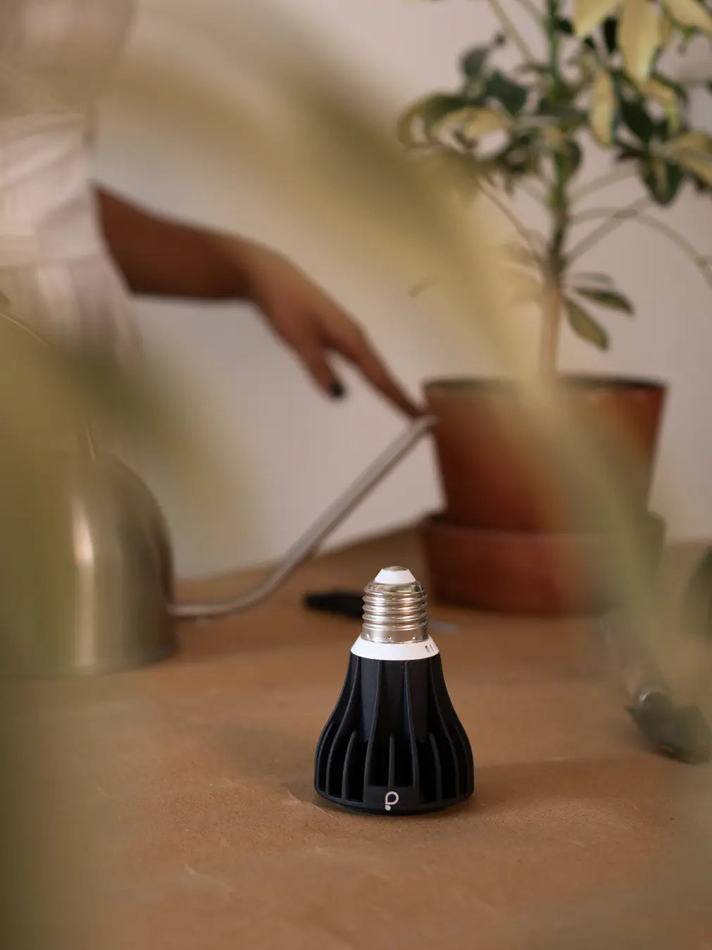 Blaze 12W LED Grow Light - Black with E27 base, placed on a wooden surface with a potted plant in the background.