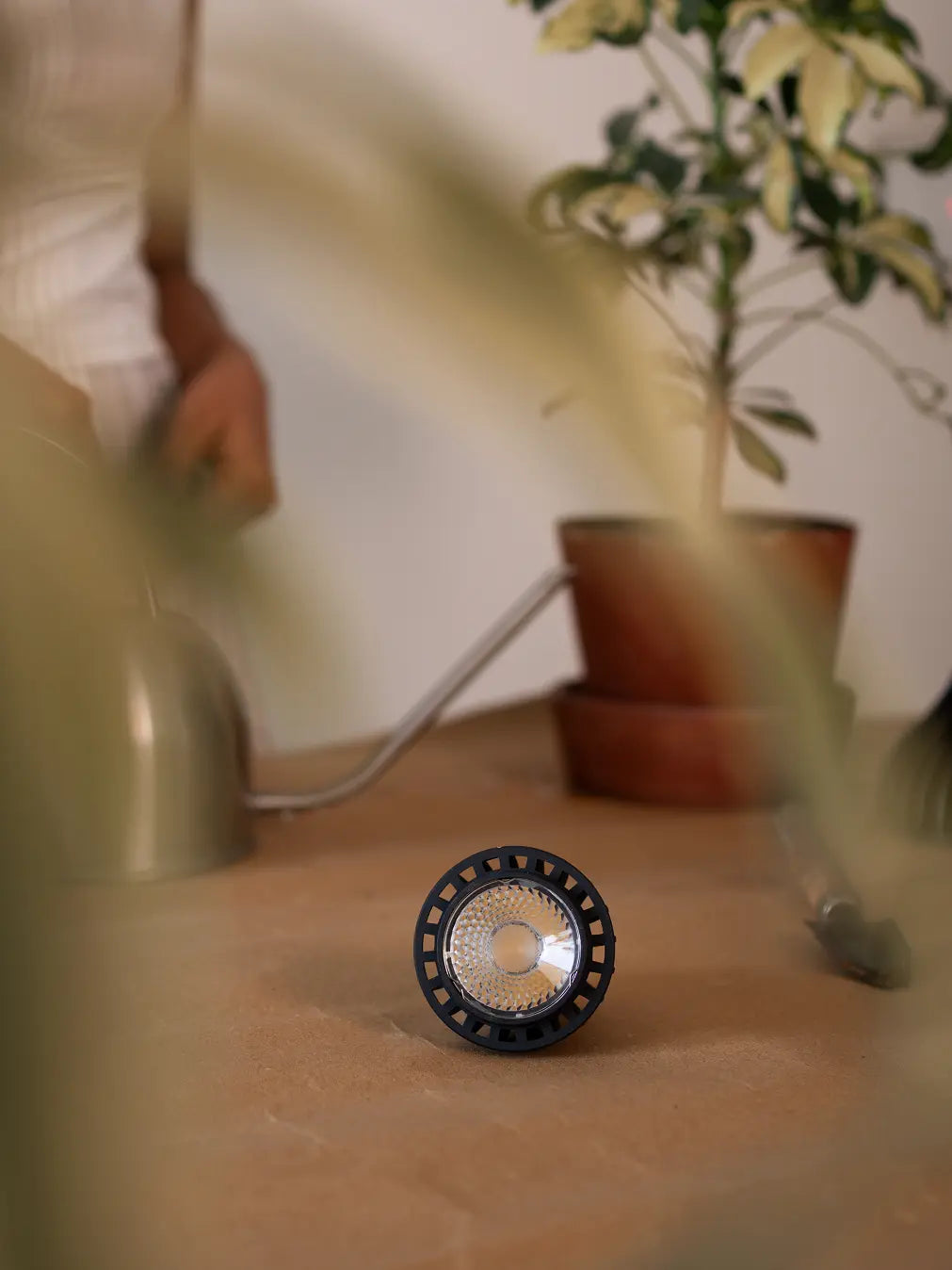 Blaze 12W LED Grow Light - Black front view showcasing black body and LED lens.