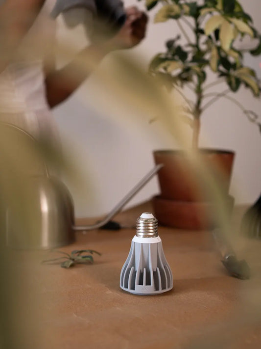 Blaze 12W LED Grow Light - Grey placed vertically on table, minimal modern aesthetic.