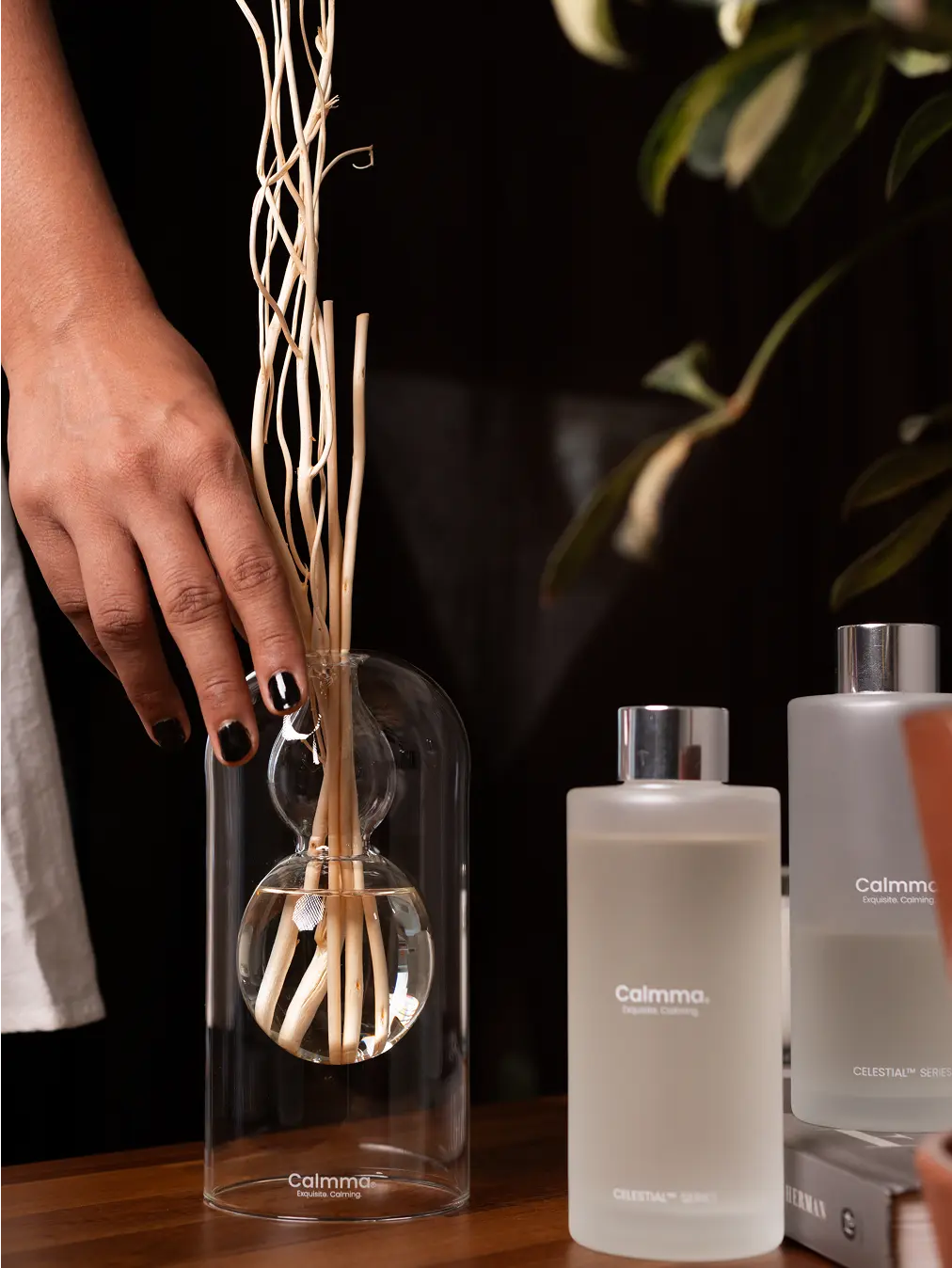 Calmma Glass Reed Diffuser placed on a wooden table beside matching frosted fragrance bottles for a calming setup.