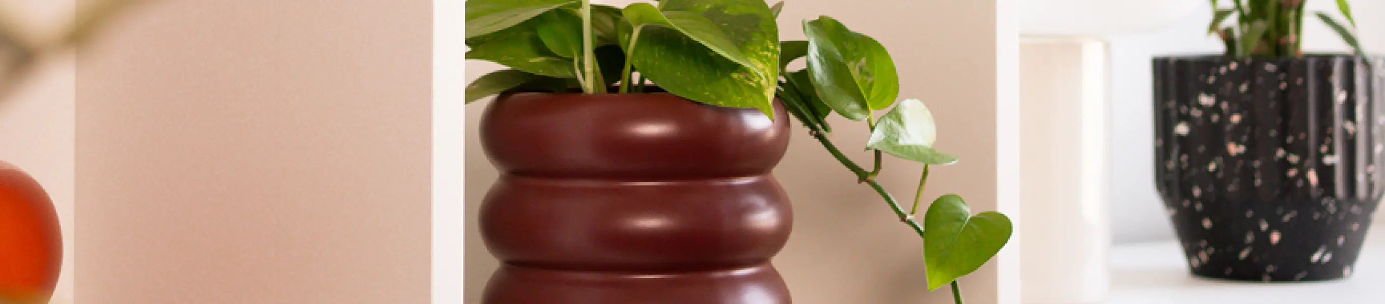 Premium ceramic pots on modern interior