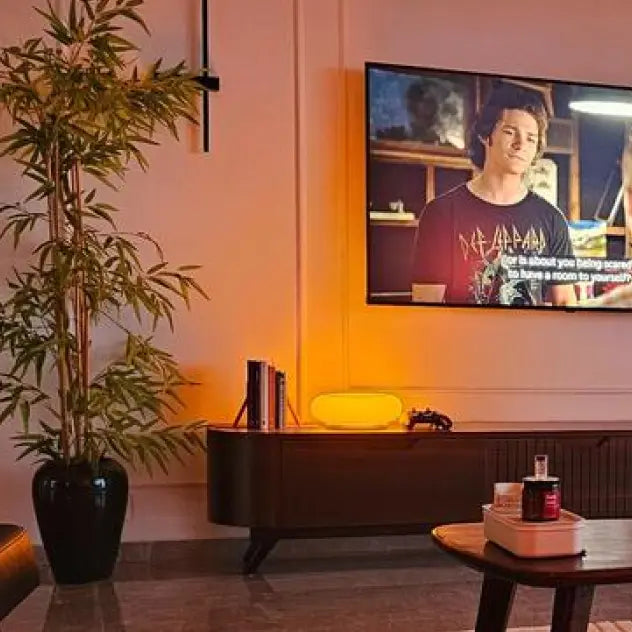 Donut Lamp in the living room with a TV displaying a person, a plant, and a coffee table with items.