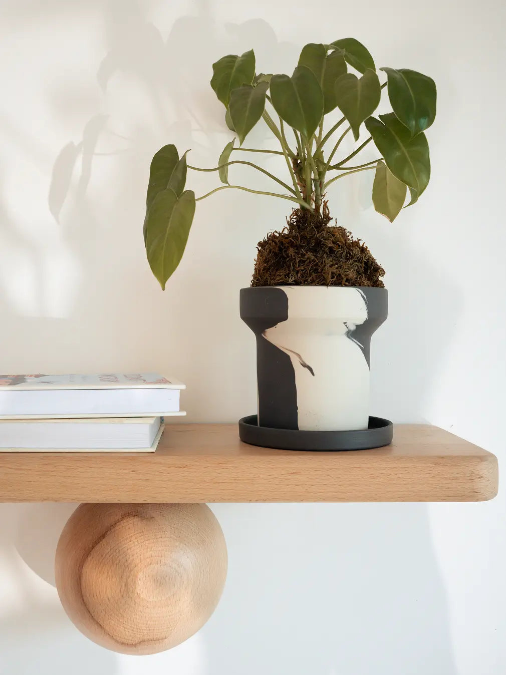 Dune Ceramic Planter styled on wooden shelf beside books in modern home decor.