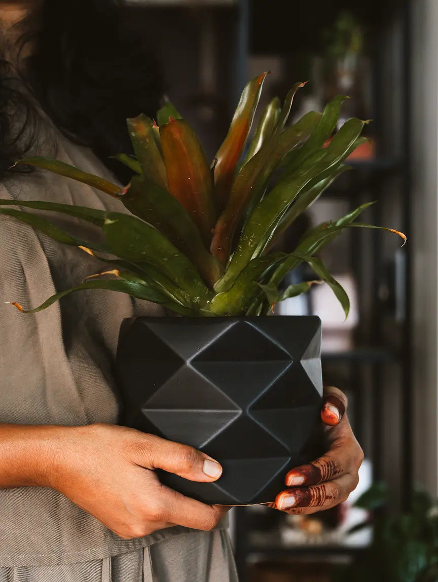 Diamond Ceramic Planter in matte black, held by a person, featuring geometric design and lush green plant.