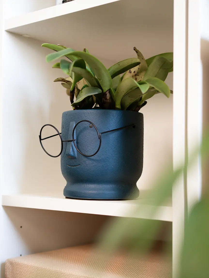 Jojo Ceramic Planter with a blue matte finish, featuring a quirky face design with metal-rimmed glasses.
