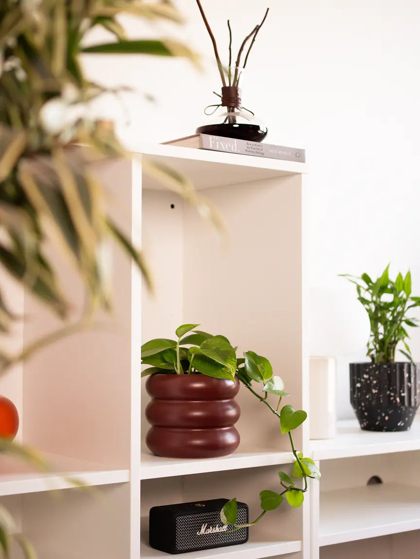 Orbit Ceramic Planter - Maroon with trailing pothos, styled on a white shelf for a modern touch.