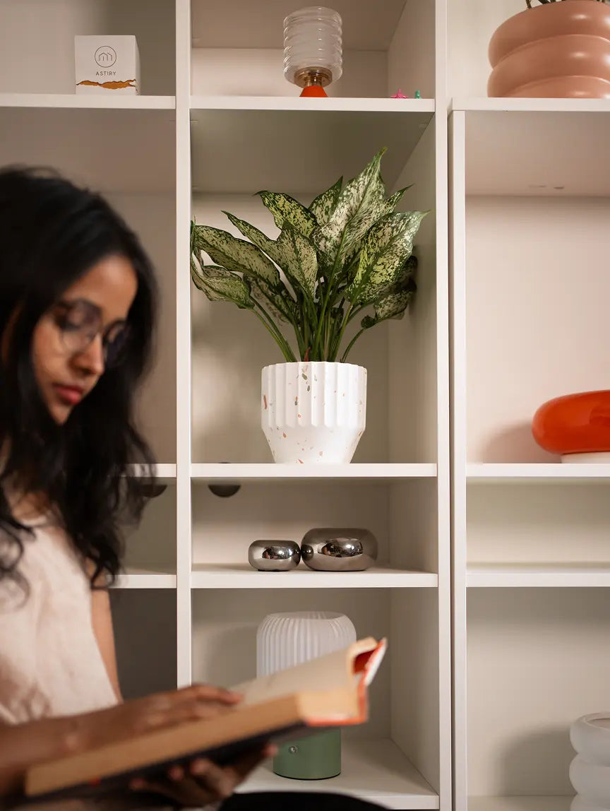Marvellous Concrete Planter - White with lush green plant placed on a shelf, adding a modern touch to home decor.