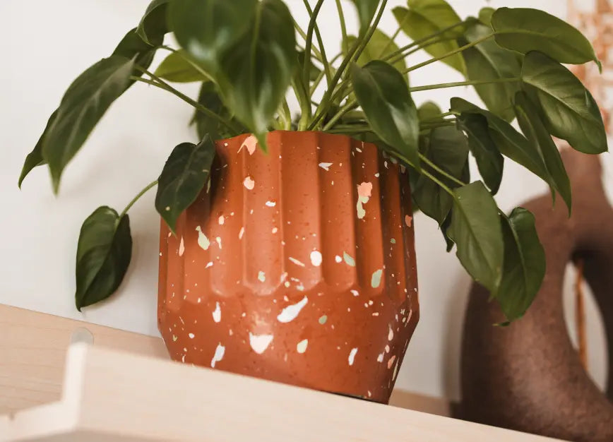 Marvellous Concrete Planter - Brown with a thriving green plant, displayed on a wooden shelf for an earthy aesthetic.