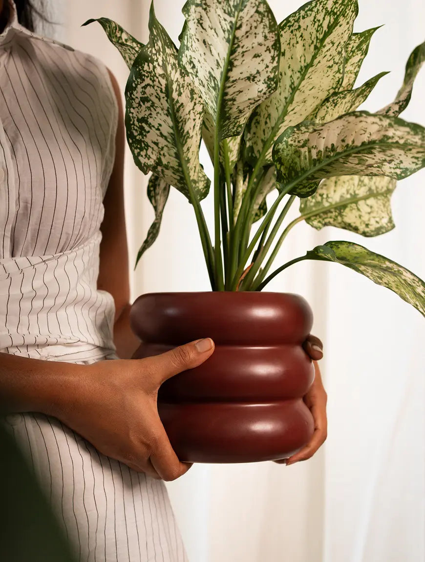 Person holding the Orbit Ceramic Planter - Maroon, highlighting its sculptural design.