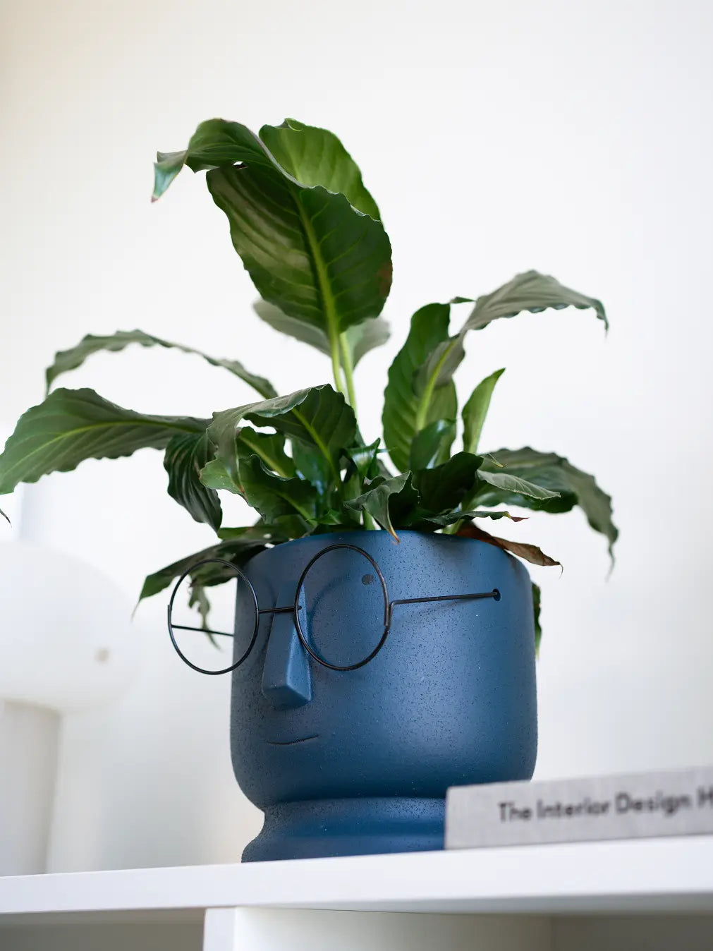 Jojo Ceramic Planter with a matte blue finish and metal-rimmed glasses, adding a playful touch to home decor.