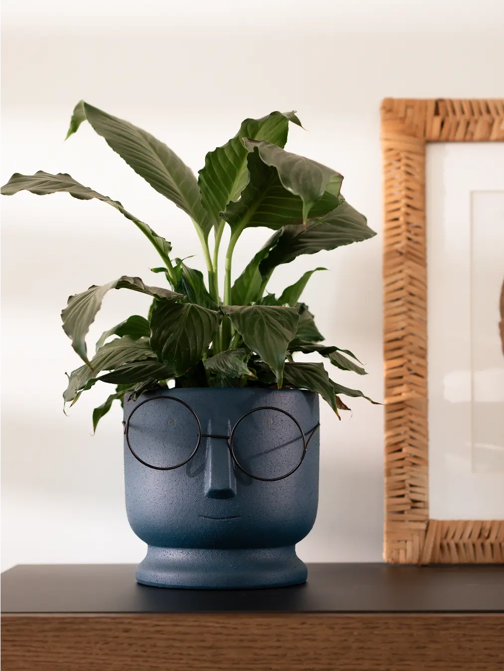 Jojo Ceramic Planter with a matte blue texture, featuring a characterful face and whimsical glass detail.