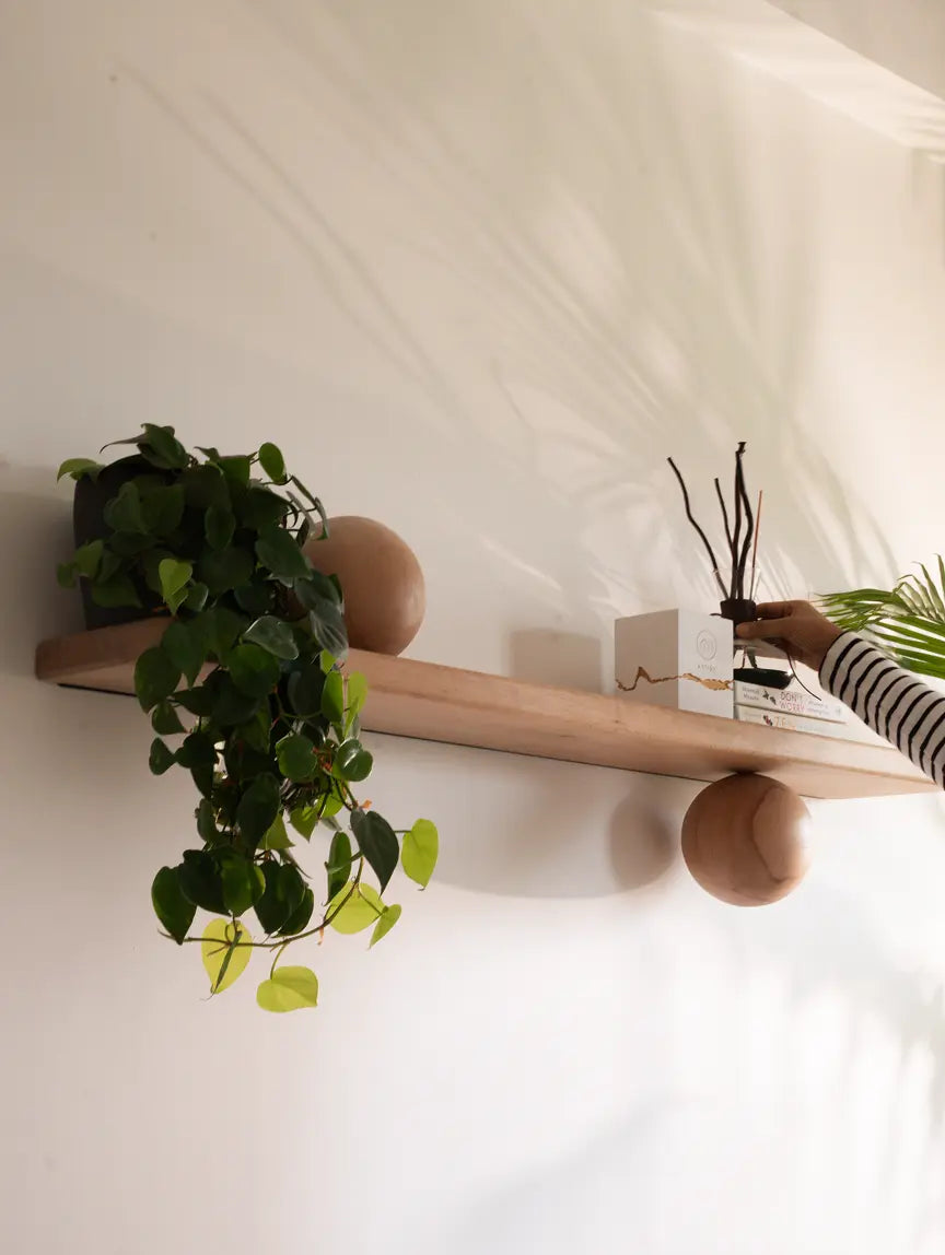 Wooden wall shelf with plants against a white wall