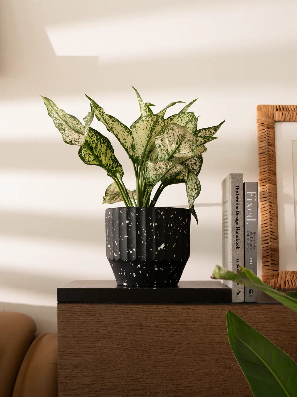 black concrete plant pot Marvellous Concrete Planter Black - Cement Pots