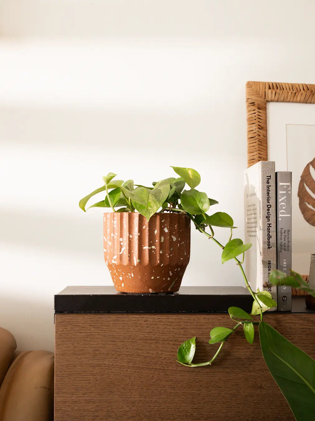 Marvellous Concrete Planter - Brown with a trailing pothos plant, placed on a wooden shelf for a natural aesthetic.