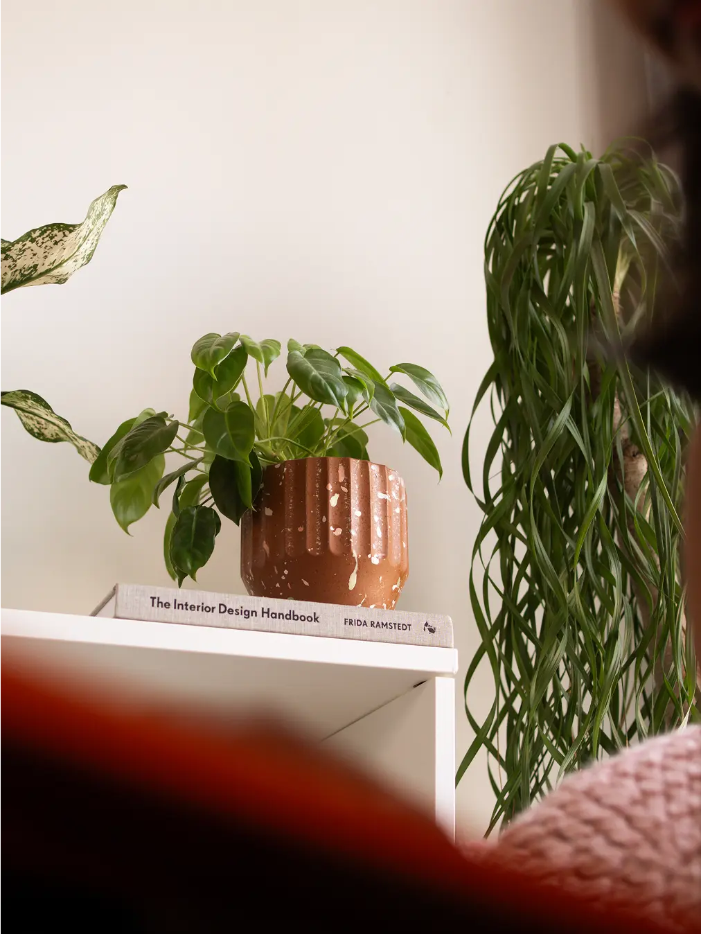 Marvellous Concrete Planter - Brown placed on a bookshelf, adding warmth and texture to a home decor setup.