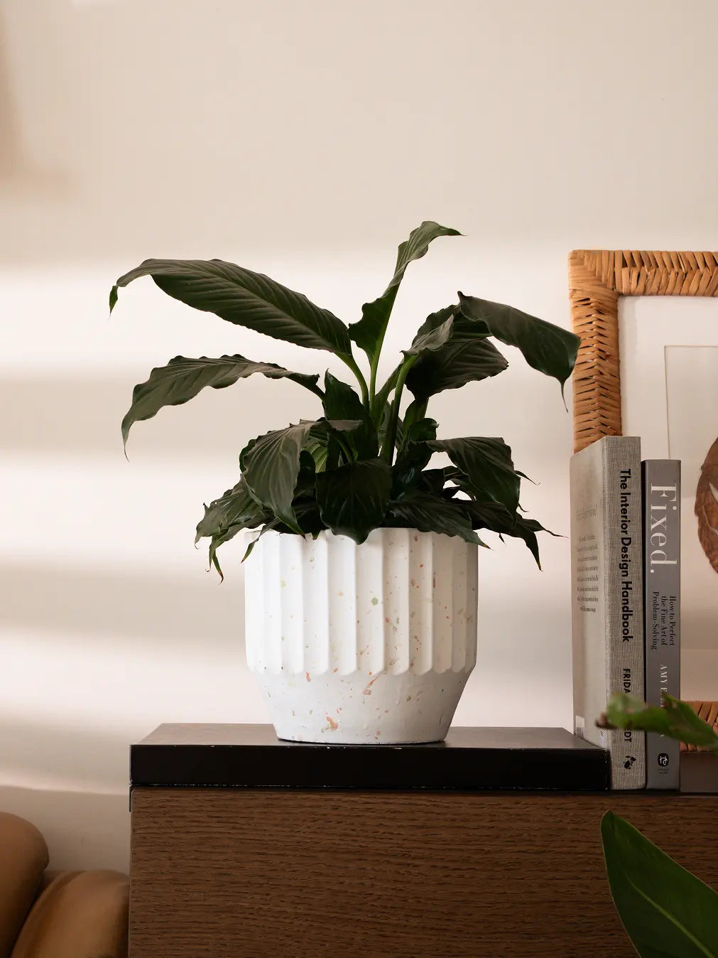 Marvellous Concrete Planter - White, featuring a terrazzo finish, styled on a wooden console with a green plant.