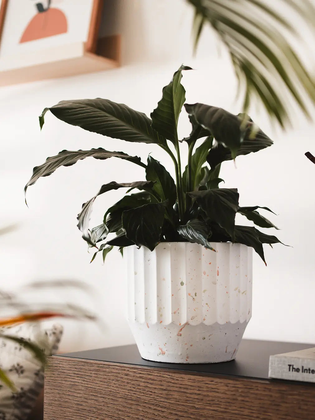 Marvellous Concrete Planter - White with a lush green plant, placed on a wooden console near decor and books.