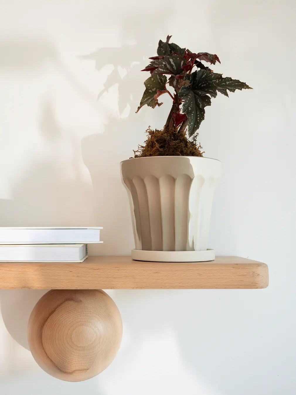 Raya Ceramic Planter styled on a wooden shelf with books, featuring earthy tones and elegant Japandi design.