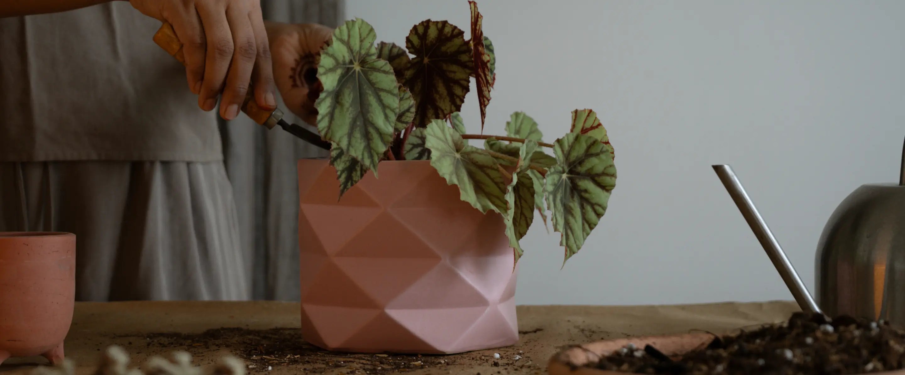 Person tending to a plant in the Diamond Ceramic Planter - pink, showcasing its faceted design and modern aesthetic.