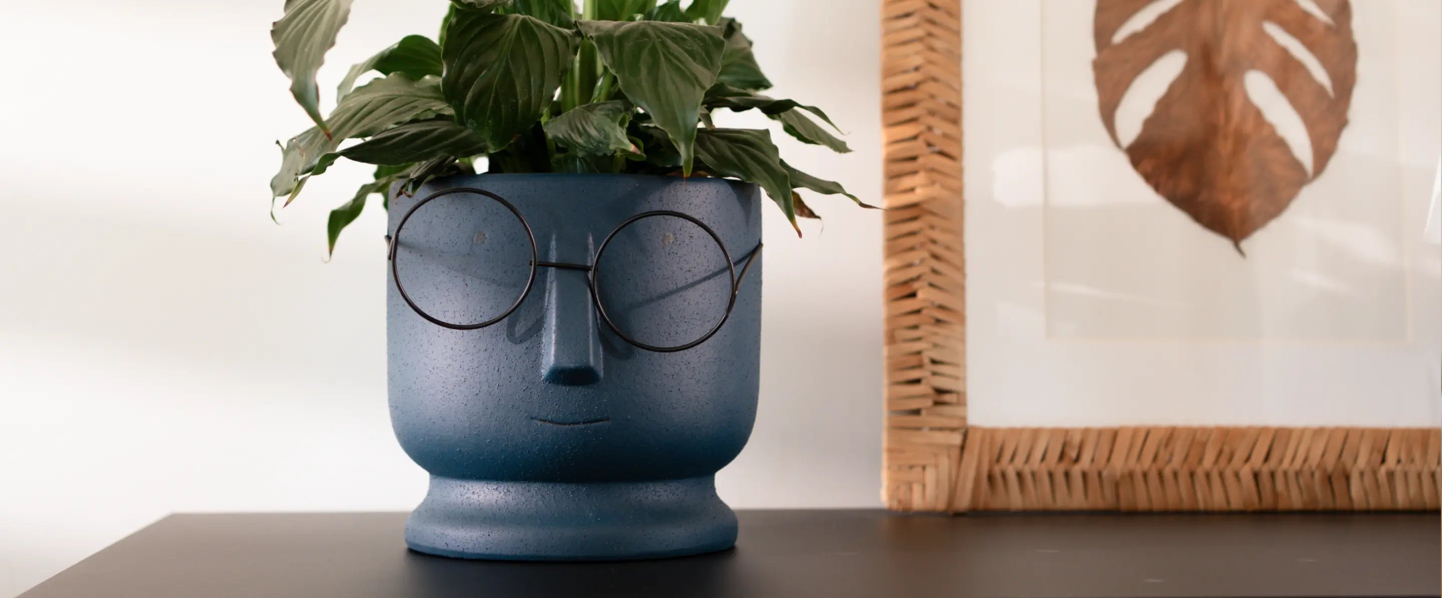 Close-up of the Jojo Ceramic Planter’s sculpted face, highlighting its smooth ceramic finish and expressive design.
