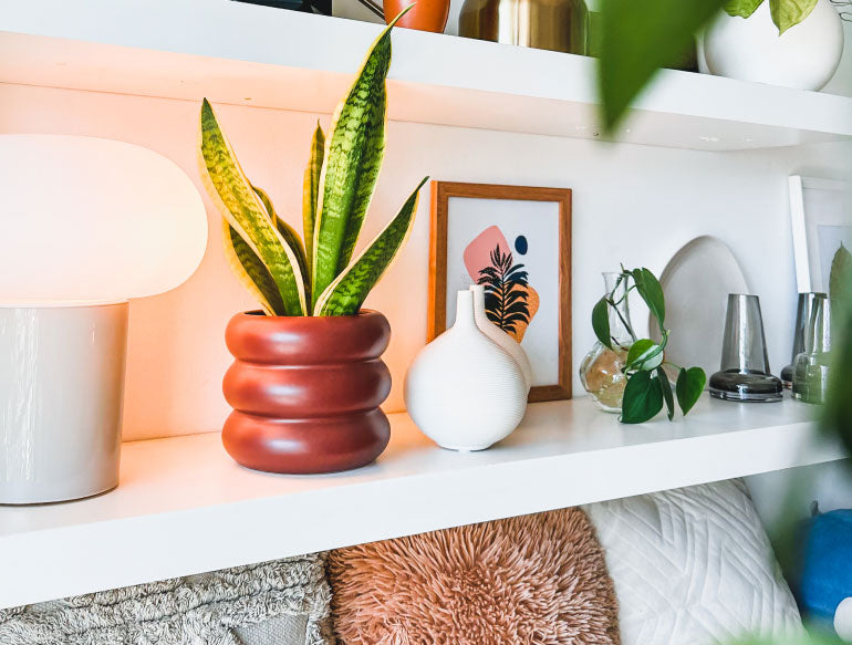 5 best indoor planters for your home