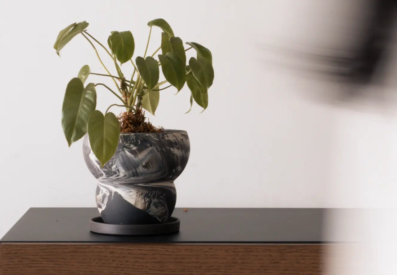 Why Choose Ceramic Planters?