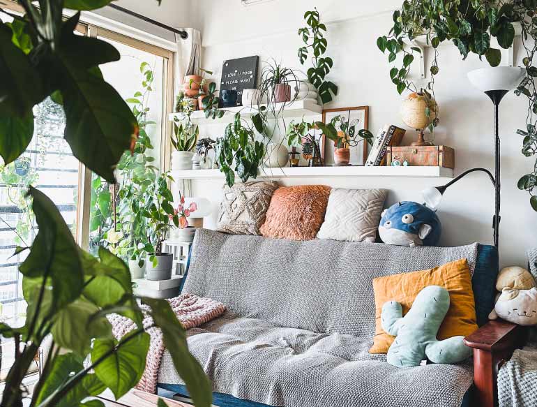 Top 20 Air purifying indoor Plants in India and Their care tips