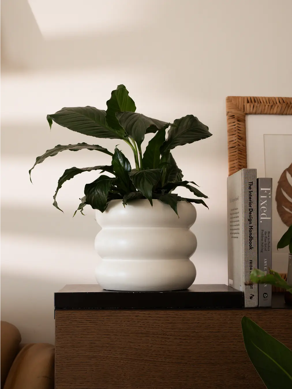 ceramic planter placed on table