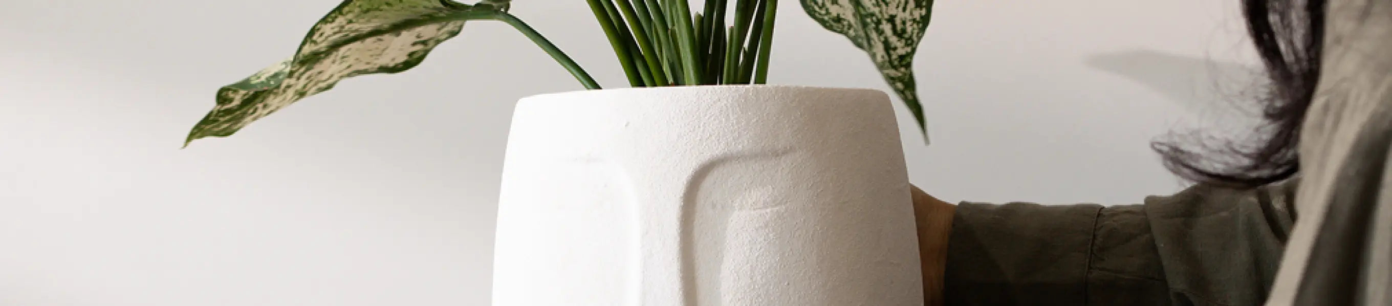 White concrete planter with plant placed indoors, hand adjusting flower pot.