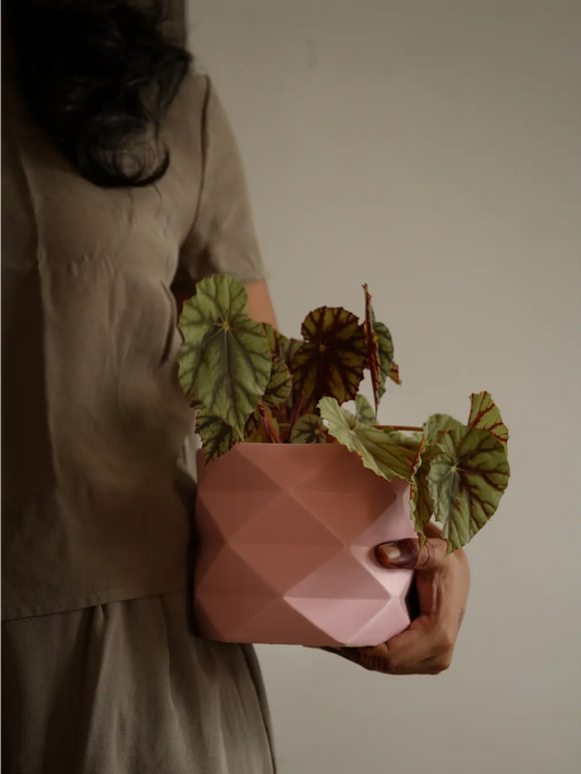 Person holding a pink Diamond Ceramic Planter with decorative leafy plant.