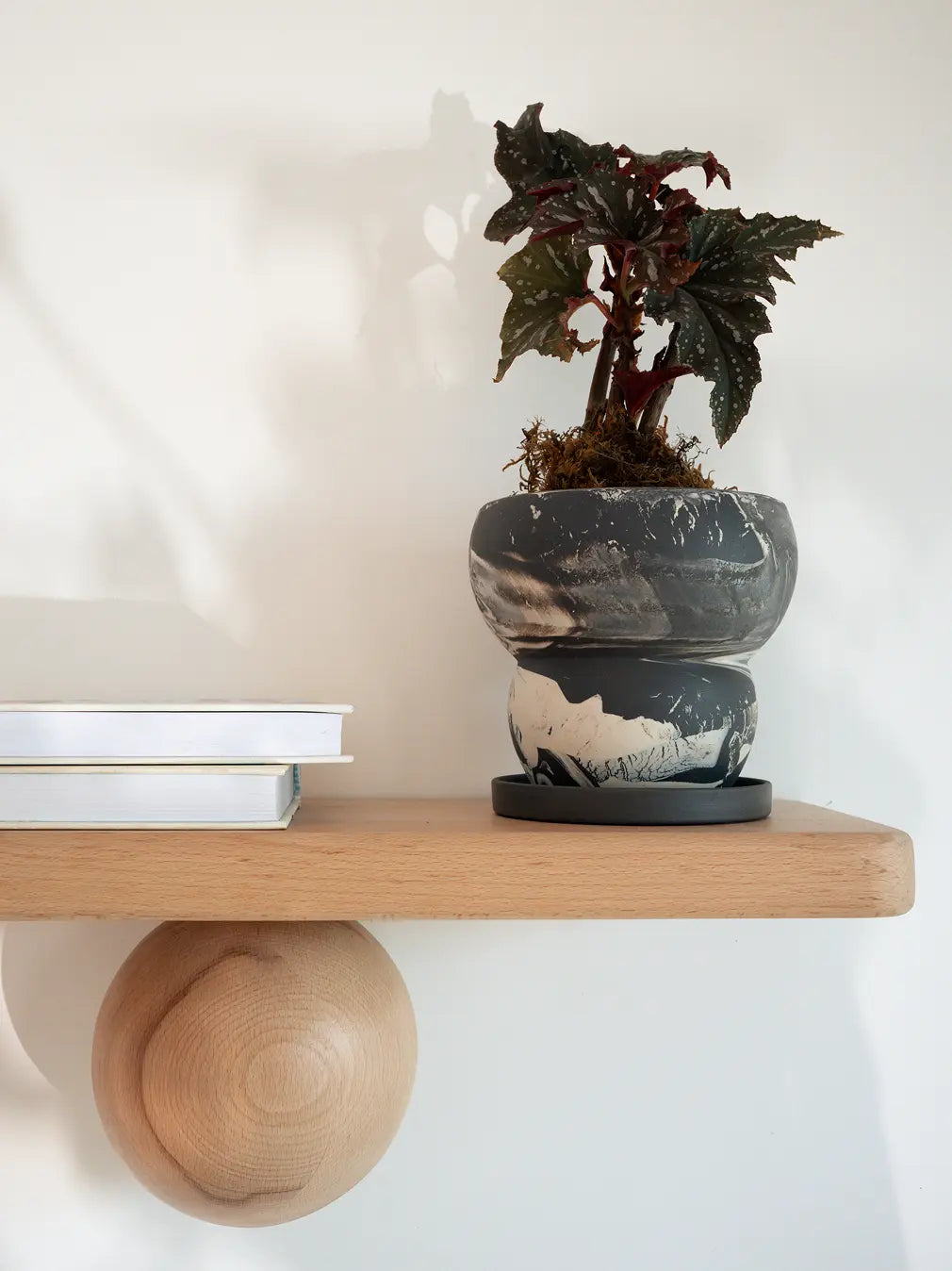 Ceramic planter pot on a wooden shelf against a white wall
