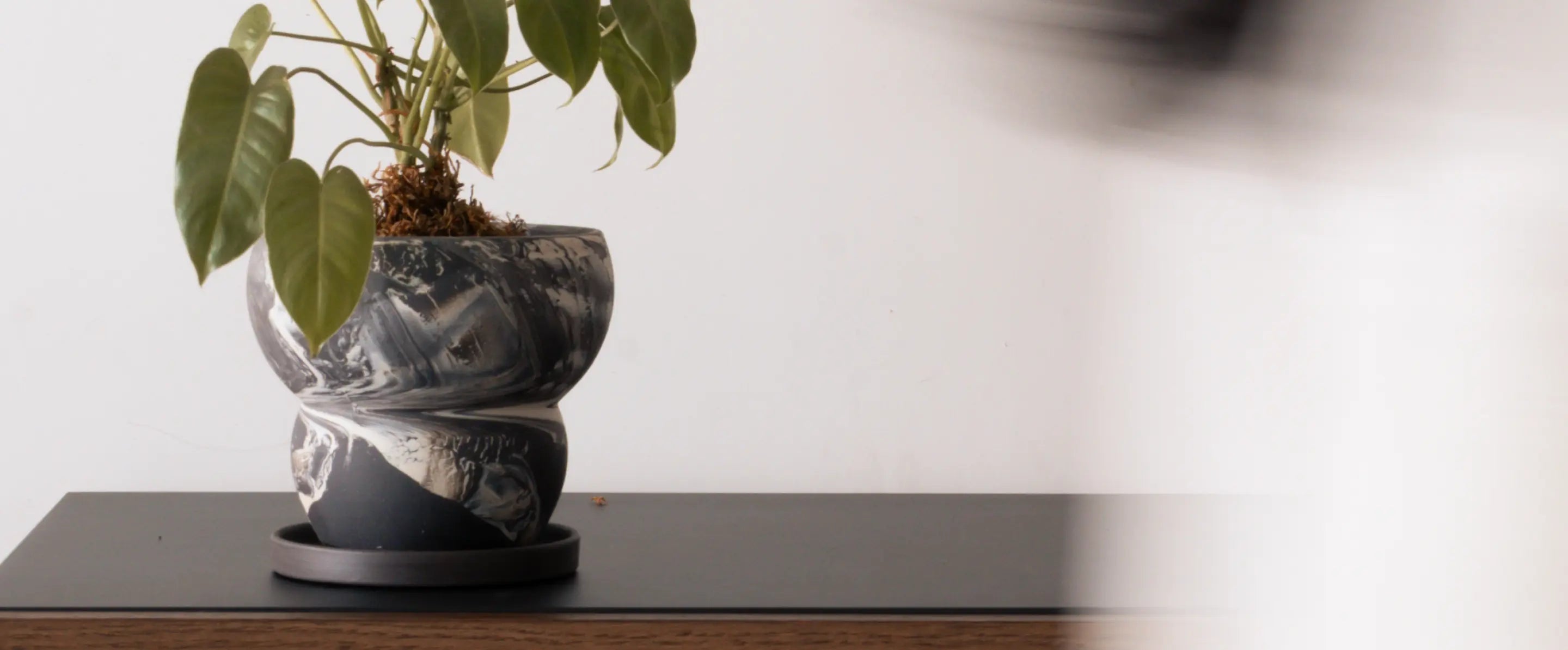 Decorative plant pot with a marble-like texture on a wooden surface.
