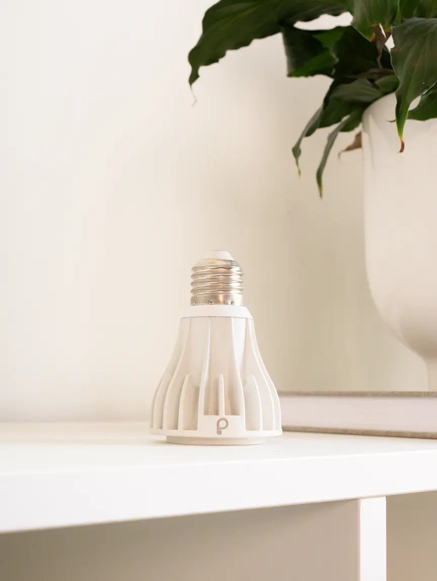 white grow light for plants Blaze 12W LED Grow Light - White: Plant Light