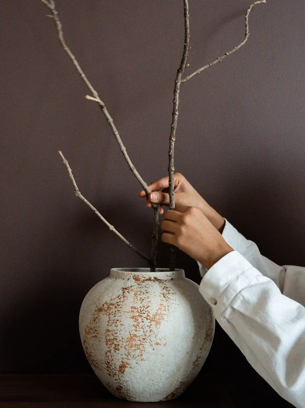Wide mouth Gaia ceramic flower vase styled with branches for modern interiors