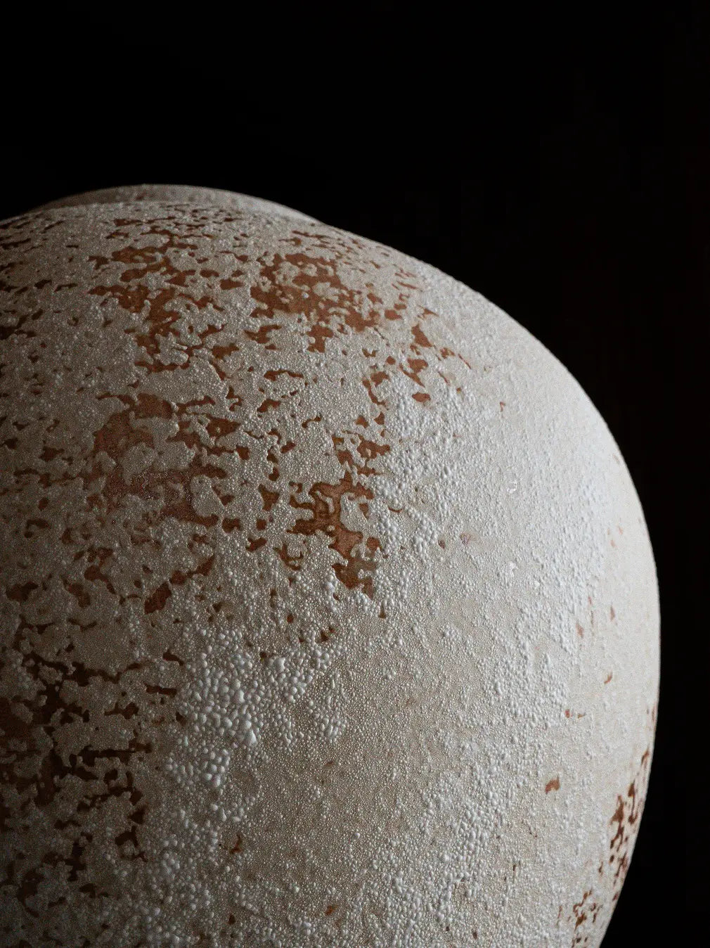 Close-up of Gaia ceramic flower vase showing organic texture and natural speckled glaze