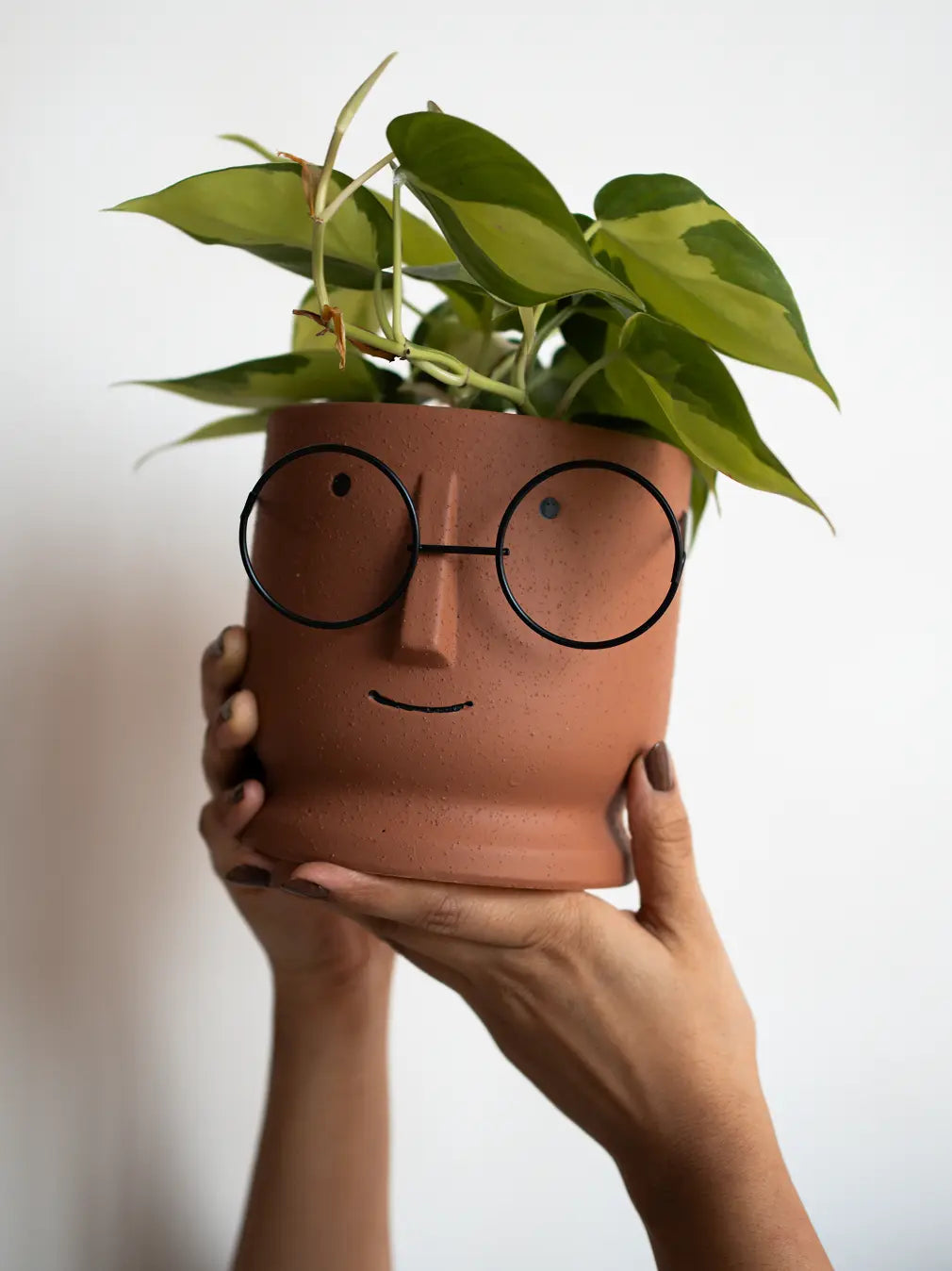 Jojo Brown ceramic indoor planter held in hands, showing size, finish, and design clarity