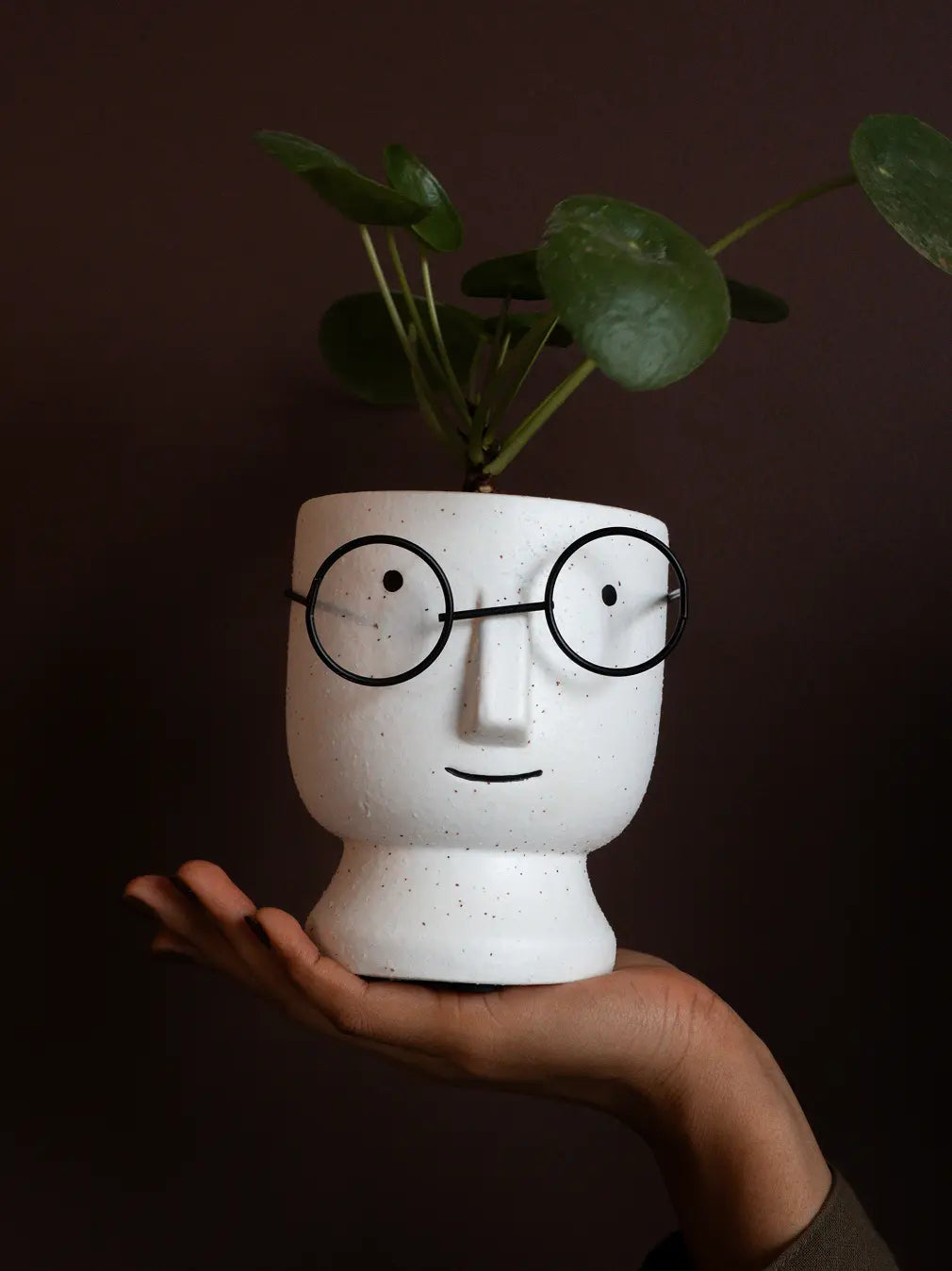 Sculptural ceramic planter with soft white finish and leafy green plant