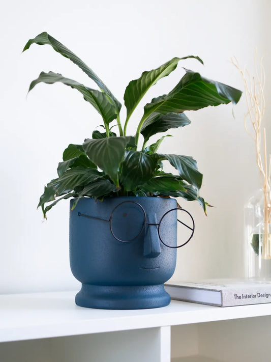 Jojo Blue Ceramic Planter