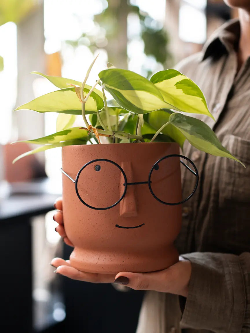 Jojo Brown ceramic planter with indoor plant, showcasing sculpted face and metal glasses