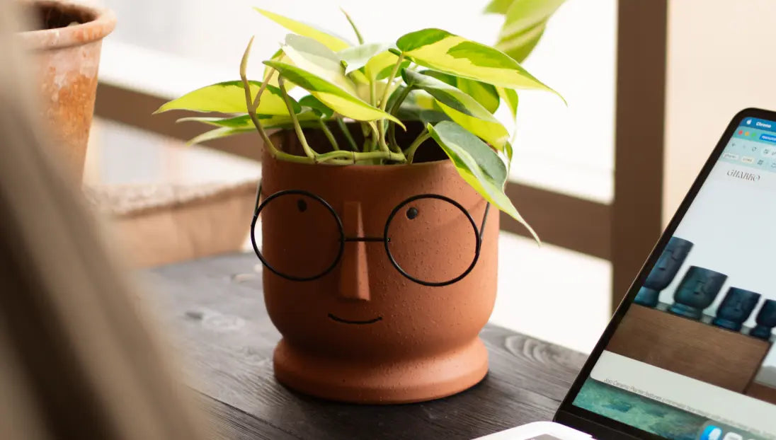 Jojo Brown indoor planter with green plant, ideal for desks and shelves