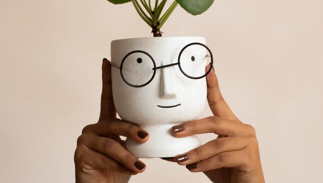 Modern white ceramic planter with minimalist face and soft matte finish