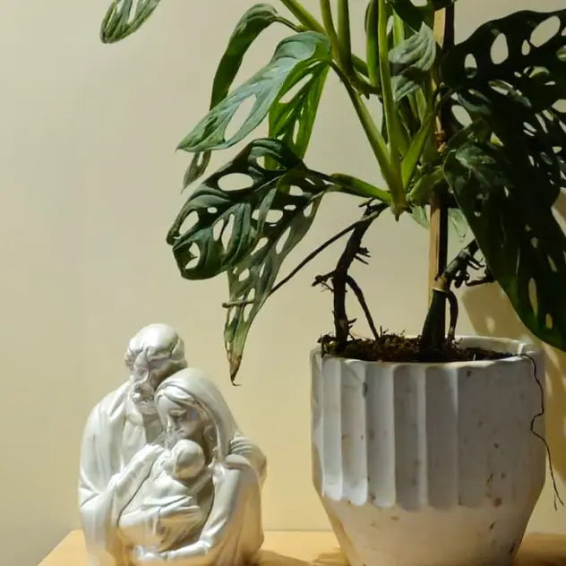 White concrete planter with potted plant on a light-colored surface.