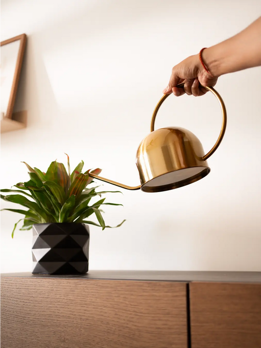 A person holding the Nozzle Stainless Steel Watering Can, showcasing its minimalist, functional design with a long spout.
