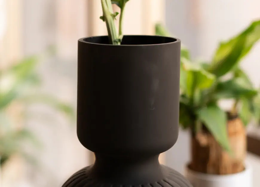 Top view of the Ridge Flower Glass Vase, showing its matte black opening and smooth modern finish.