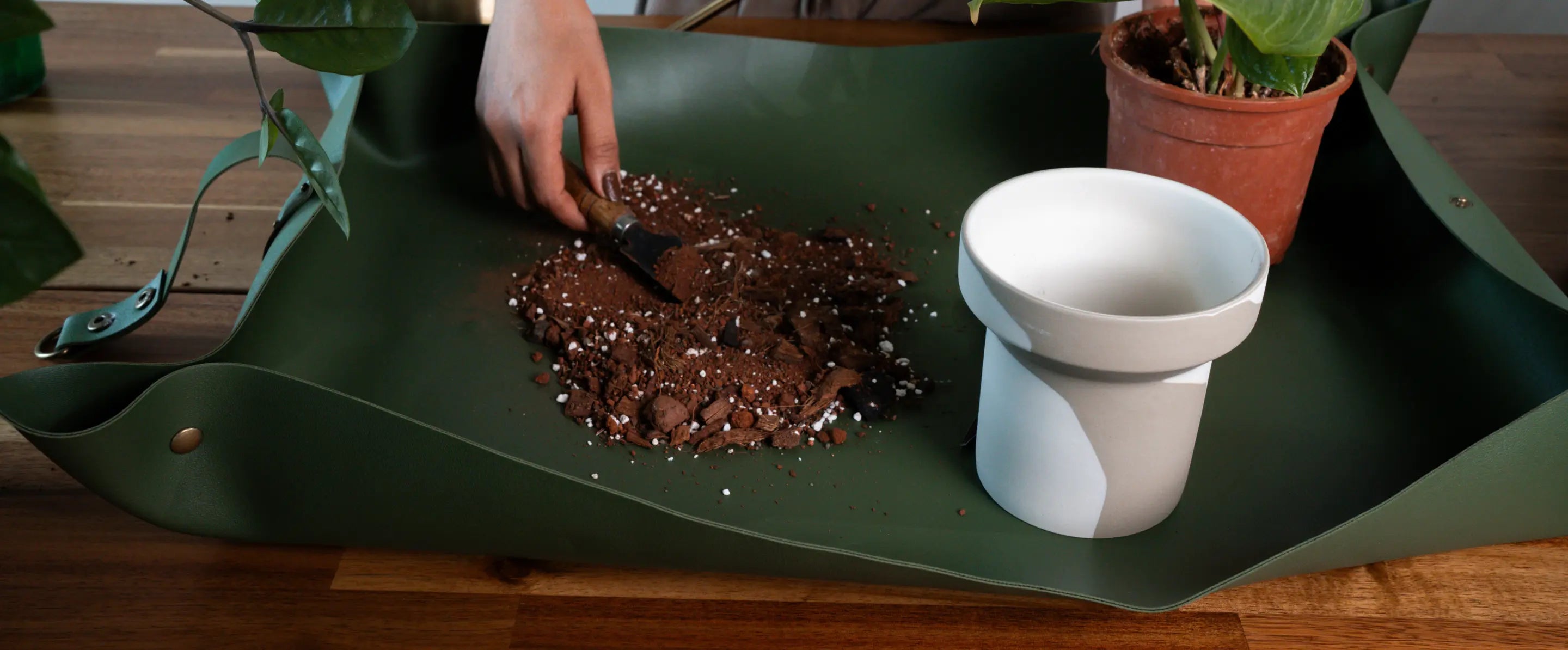Wide view of Solum potting mat in olive colour holding soil during indoor gardening