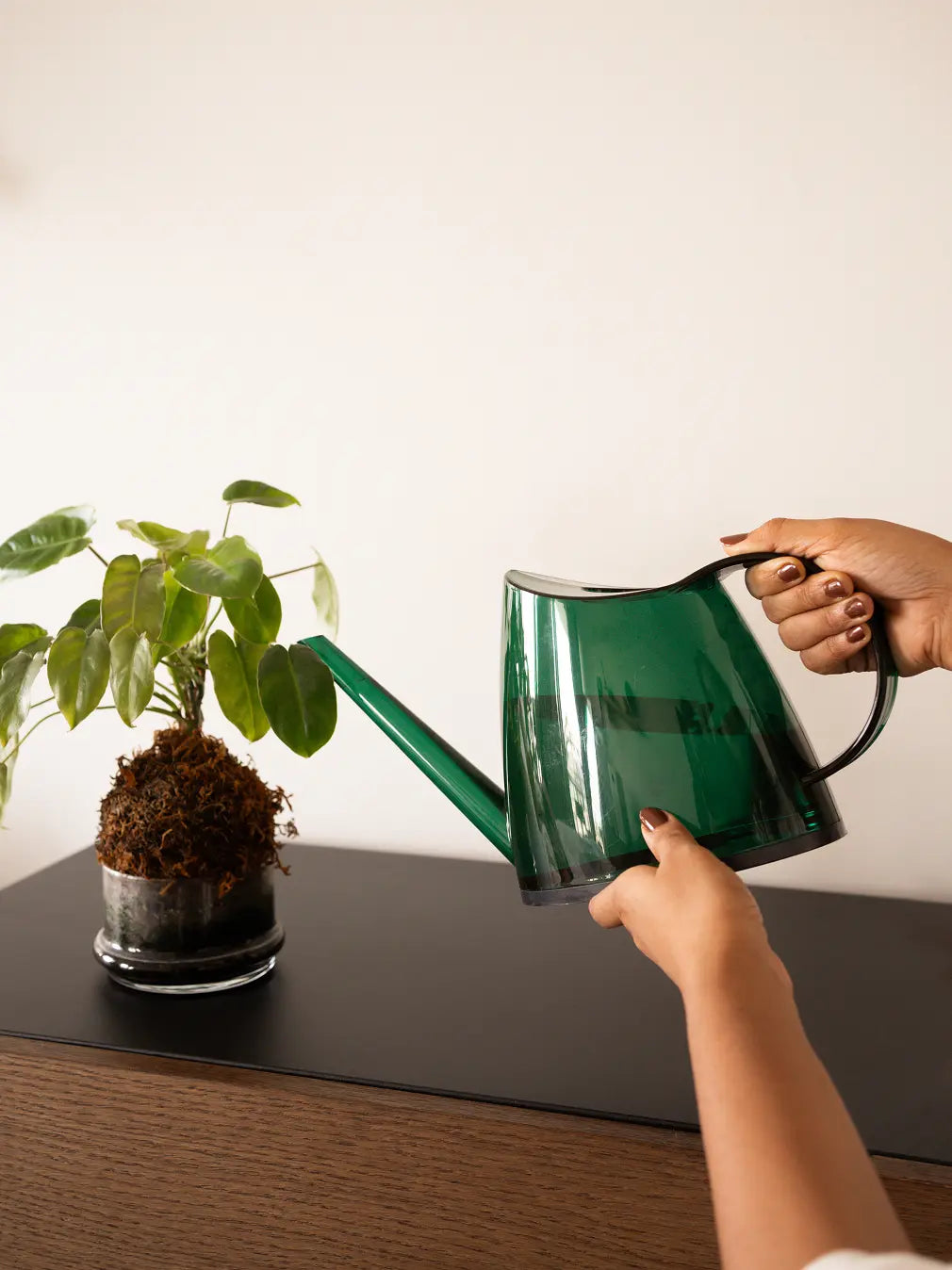 Person watering a plant with the Willow Watering Can, showcasing long spout precision.