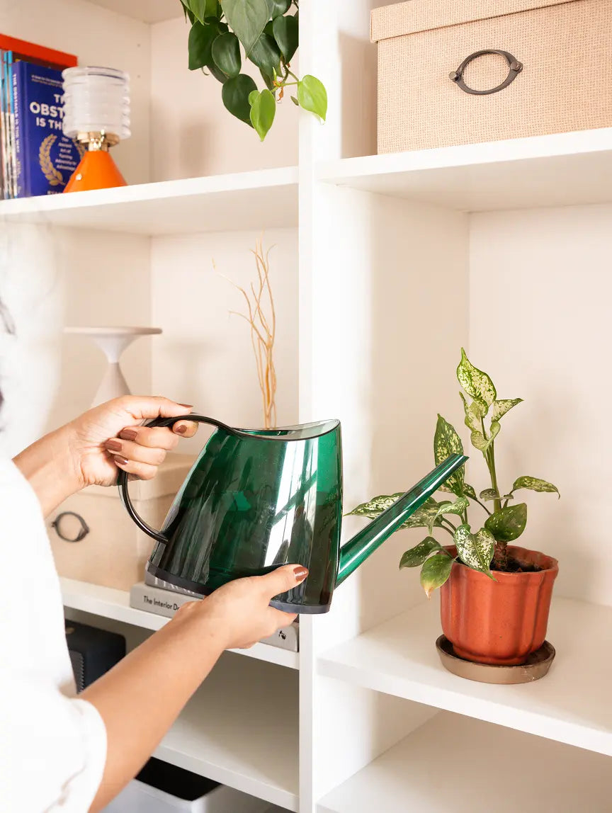 Close-up of the Willow Watering Can spout, showing slim design for controlled watering.