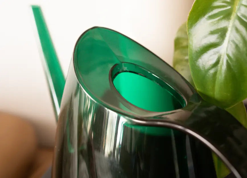 Top opening of the Willow Watering Can showing wide, easy-fill design and modern ABS finish.