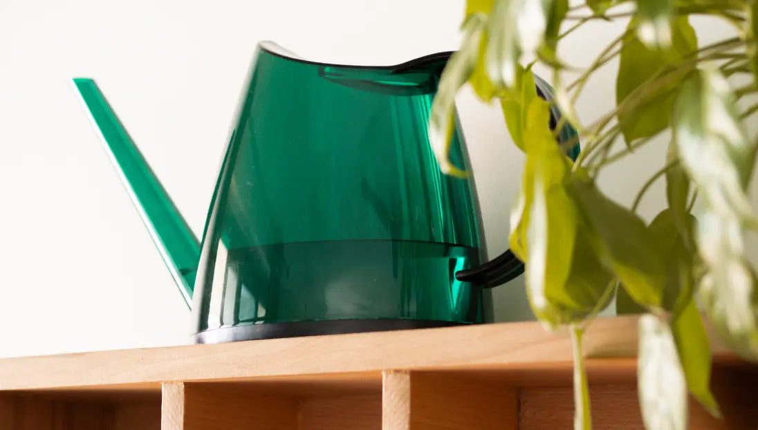 Green Willow Watering Can placed on a wooden shelf beside plants, highlighting modern shape.