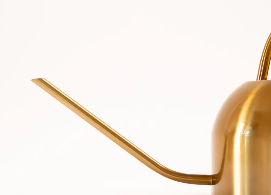 Long spout detail of brass stainless steel watering can for precise watering
